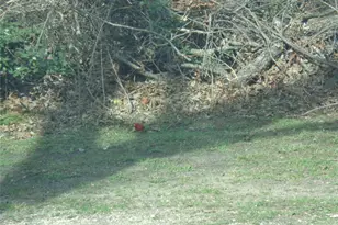 506 S 3rd St, Grandview, TX 76050 - Photo 39