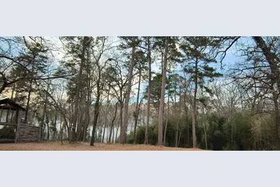 106 Sandy Lane Road, Scroggins, TX 75480 - Photo 3