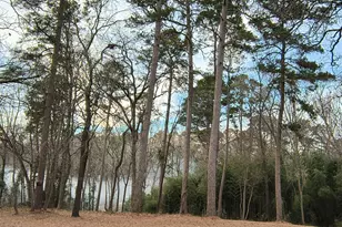 106 Sandy Lane Rd, Scroggins, TX 75480 - Photo 3