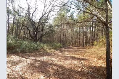 197 Cr 4130D, Overton, TX 75684 - Photo 35