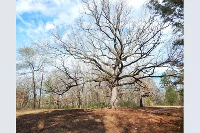 197 Cr 4130D, Overton, TX 75684 - Photo 37