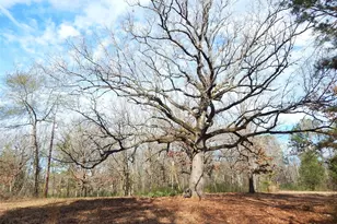 197 Cr 4130D, Overton, TX 75684 - Photo 37