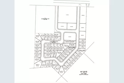 000 Goodnight Boulevard, Wills Point, TX 75169 - Photo 3