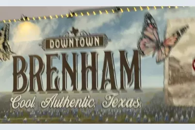 502 Willow Circle, Brenham, TX 77833 - Photo 13