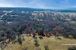 240 Co Rd 1187, Sulphur Springs, TX 75482 - Photo 29