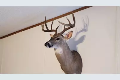 0 Co Rd 303, Gorman, TX 76454 - Photo 13