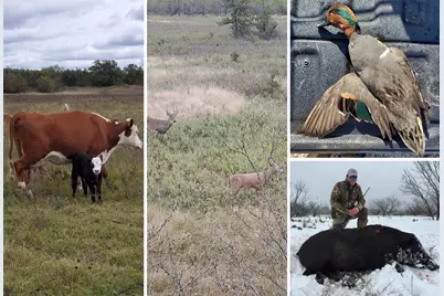 0 Co Rd 303, Gorman, TX 76454 - Photo 25