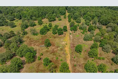 455 SE Cr 3350, Winnsboro, TX 75494 - Photo 31