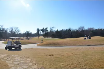 970 Pronghorn Drive, Gordonville, TX 76245 - Photo 5