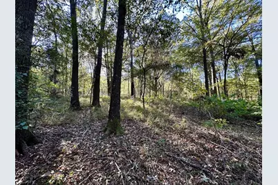 N/A Lot 59 County Road 2938, Pittsburg, TX 75686 - Photo 5