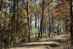 N/A Lot 59 County Road 2938, Pittsburg, TX 75686 - Photo 1