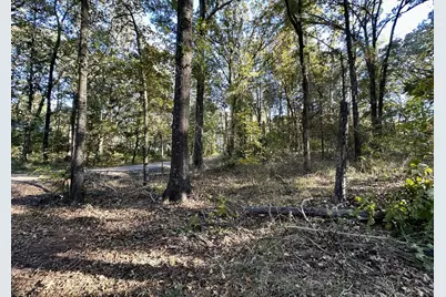 N/A Lot 59 County Road 2938, Pittsburg, TX 75686 - Photo 7