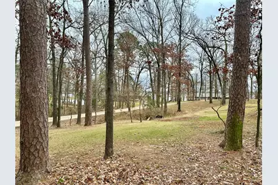 N/A Lot 59 County Road 2938, Pittsburg, TX 75686 - Photo 19