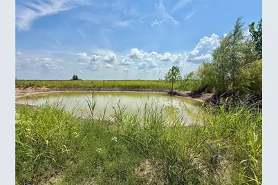 6078 County Road 302, Grandview, TX 76050 - Photo 7