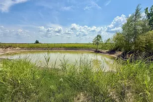 6078 County Rd 302, Grandview, TX 76050 - Photo 7