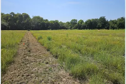 0 Hayfield Court, Paris, TX 75460 - Photo 11