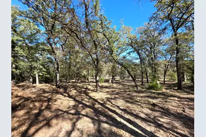 1159 Mikus Road, Weatherford, TX 76087 - Photo 5