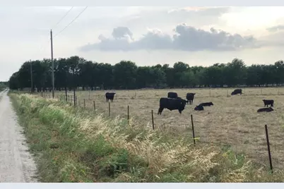 7863 County Road 1290, Corsicana, TX 75110 - Photo 5