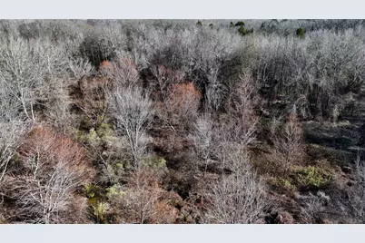 Tbd County Road 3801, Athens, TX 75752 - Photo 5