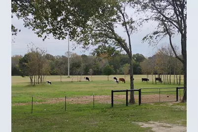 15713 County Road 4015, Mabank, TX 75147 - Photo 33