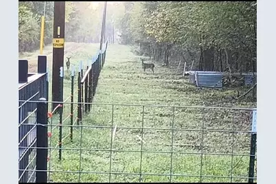 15713 County Road 4015, Mabank, TX 75147 - Photo 7