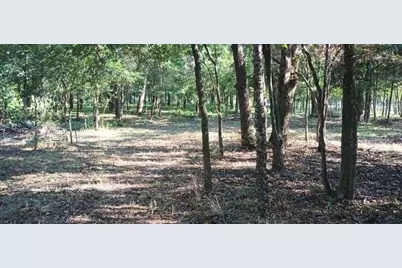 15713 County Road 4015, Mabank, TX 75147 - Photo 17