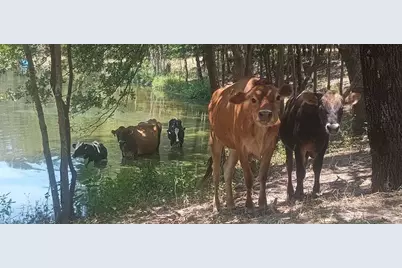 15713 County Road 4015, Mabank, TX 75147 - Photo 11