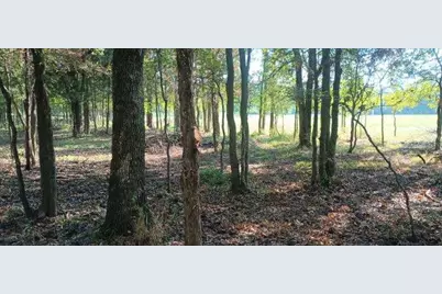15713 County Road 4015, Mabank, TX 75147 - Photo 19