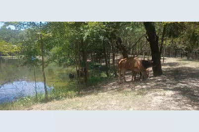 15713 County Road 4015, Mabank, TX 75147 - Photo 11