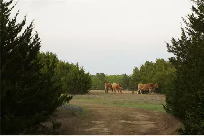 1198 S Clark Road, Cedar Hill, TX 75104 - Photo 25