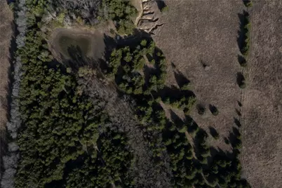 2800 County Road 2905, Dodd City, TX 75438 - Photo 37