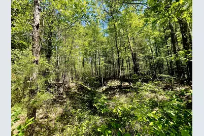 C-2 Fuller Cemetery, Minden, LA 71055 - Photo 7