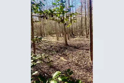 C-2 Fuller Cemetery, Minden, LA 71055 - Photo 5