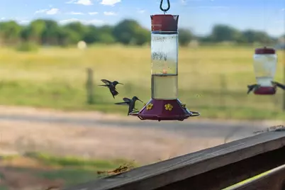 11757 County Road 2429, Kemp, TX 75143 - Photo 5