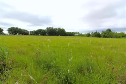 Tbd Cr-4079, Scurry, TX 75158 - Photo 7