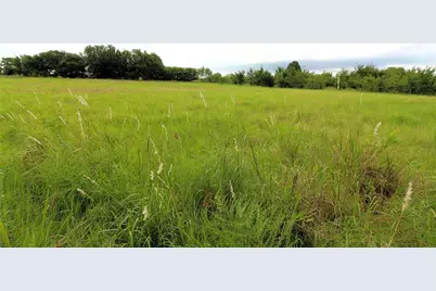 Tbd Cr-4079, Scurry, TX 75158 - Photo 5