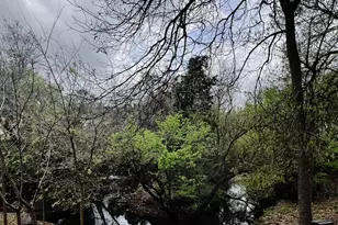 4859 Cedar Springs Rd, Dallas, TX 75219 - Photo 29