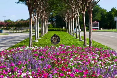 8612 Stone Hollow Drive, McKinney, TX 75072 - Photo 37