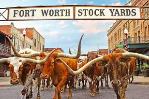 1615 Fairmount Ave, Fort Worth, TX 76104 - Photo 35