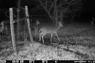 1155 Point Vista Rd, Hickory Creek, TX 75065 - Photo 35