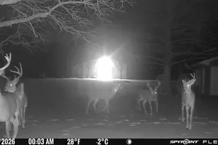 1155 Point Vista Rd, Hickory Creek, TX 75065 - Photo 17