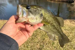 1155 Point Vista Rd, Hickory Creek, TX 75065 - Photo 7