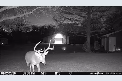 1155 Point Vista Road, Hickory Creek, TX 75065 - Photo 9