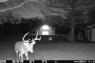 1155 Point Vista Rd, Hickory Creek, TX 75065 - Photo 9