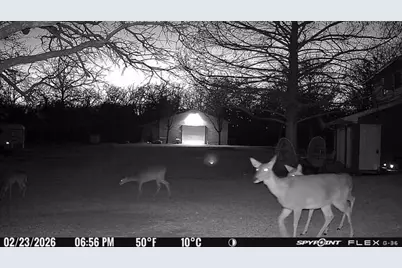 1155 Point Vista Road, Hickory Creek, TX 75065 - Photo 17