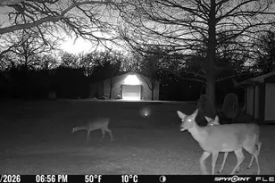 1155 Point Vista Rd, Hickory Creek, TX 75065 - Photo 17