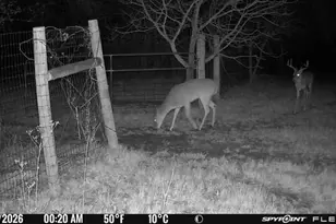 1155 Point Vista Rd, Hickory Creek, TX 75065 - Photo 37