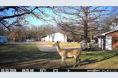 1155 Point Vista Road, Hickory Creek, TX 75065 - Photo 13