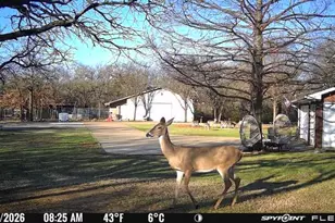 1155 Point Vista Rd, Hickory Creek, TX 75065 - Photo 13