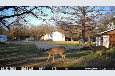 1155 Point Vista Road, Hickory Creek, TX 75065 - Photo 11